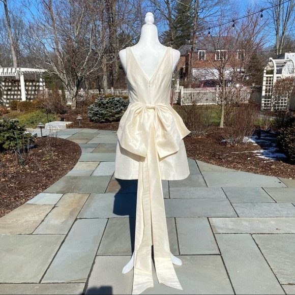 NWT Sachin and Babi Archie Mini Dress in Ivory 4 - Picture 6 of 17